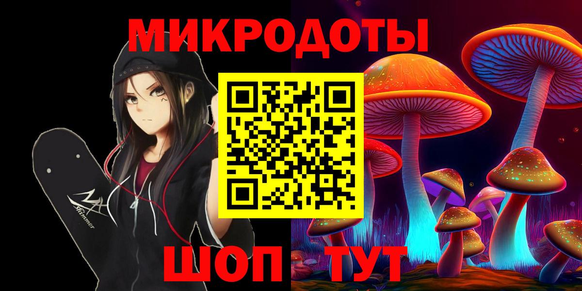 Алексин  Галлюциногенные грибы Psilocybine cubensis  Вход с VPN 