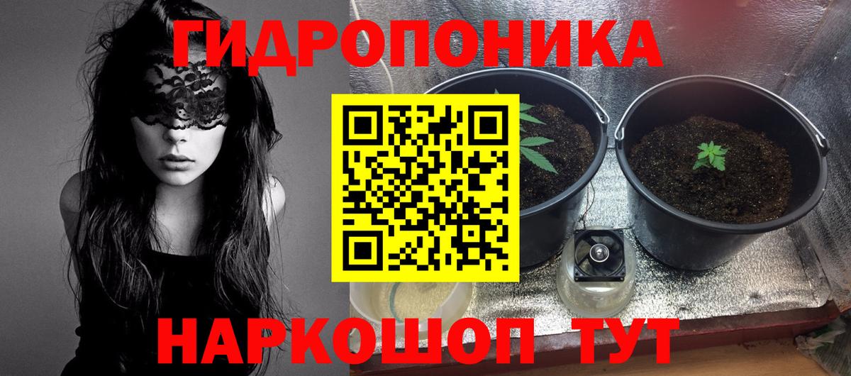МАРИХУАНА сатива Алексин